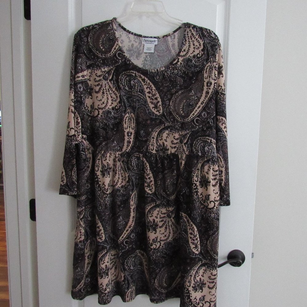 Women's Plus Size Paisley Tunic